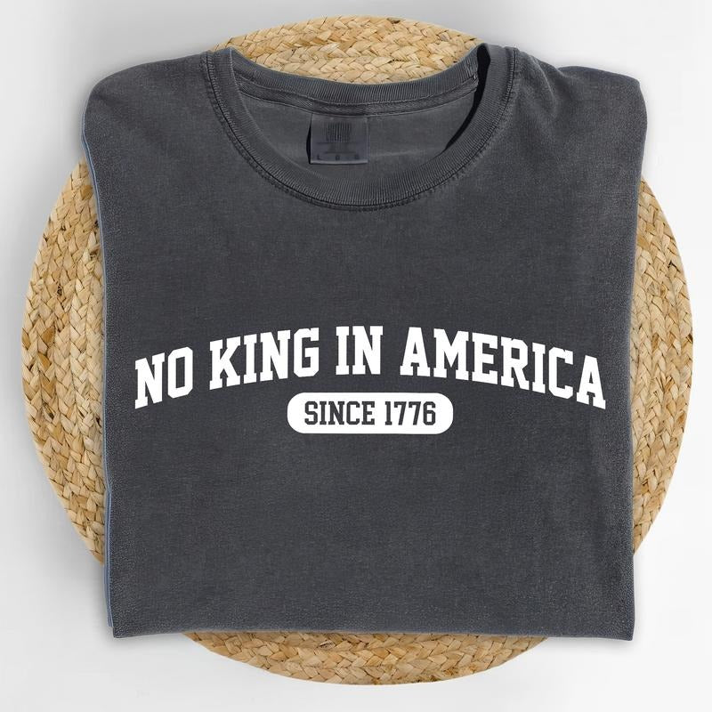 ChicCotton No Kings In America Comfort Colors Shirt, Human Rights T-shirt, Activist Unisex Graphic Tee, Protect Democracy Tee, Liberal Democrat Shirt