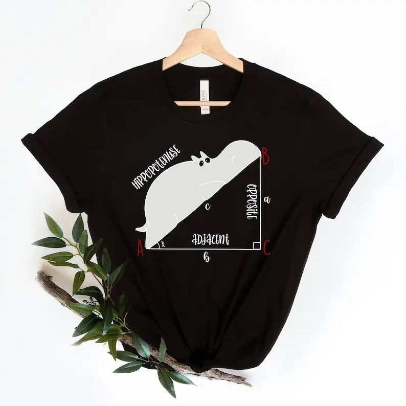 Funny Math T Shirt, Funny Hippopotenuse Shirt, Math Teachers Shirt, Teacher Shirt, Geometry Teacher Gift,Geometry Nerd Gift,Gift For Teacher T-shirt, sweater and Hoodie