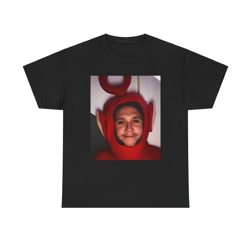 Funny Niall Horan 2024 T-Shirt, The Show Tour 2024 Shirt, Niall Horan 2024 Shirt, Irish Boys Niall Horan Gifts, Niall Horan Meme Shirts