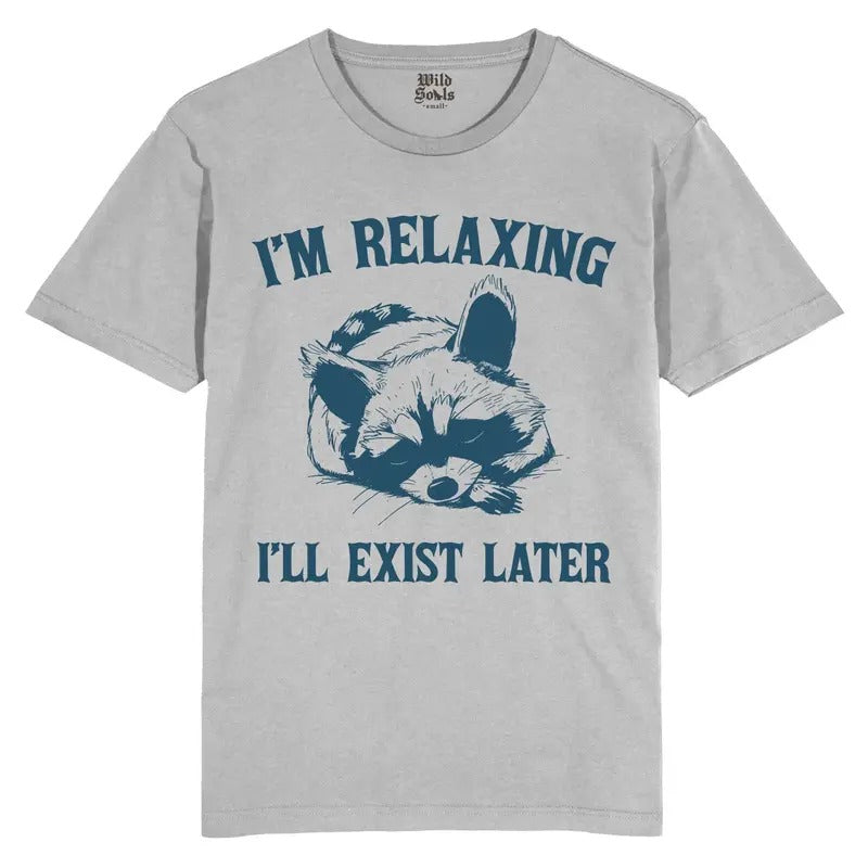Im Relaxing, Ill exist later T Shirt, Vintage 90s Raccoon Tshirt, Retro, Blue, Tee, Unisex Tee Shirt, Tee, Fun, Gift, pedro, raccoons