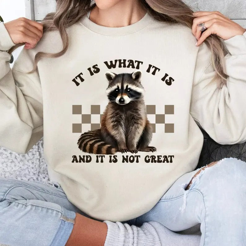 It Is What It Is And It Is not Great Sweatshirt, Vintage Racoon Meme Sweatshirt, Racoon Lover Sweatshirt, Animal Lover, Mental Health Shirt, Trendy Sweatshirt