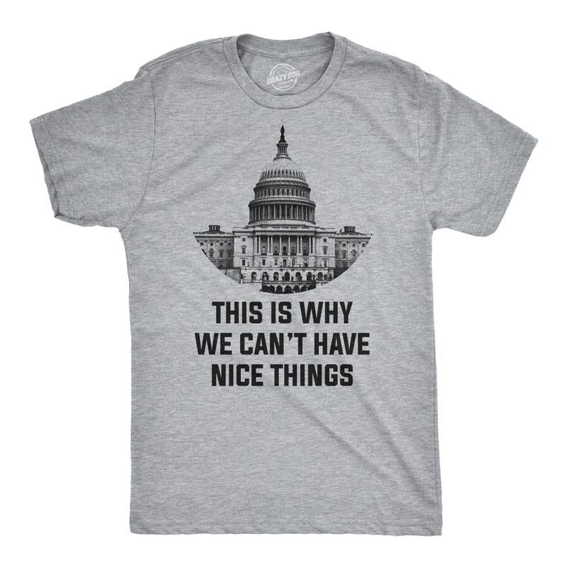 This Is Why We Can't Have Nice Things T Shirt Funny Anti Capitol Political Tee Mens Funny T Shirts Cool Vintage Fashion T-Shirt Gift Light Grey