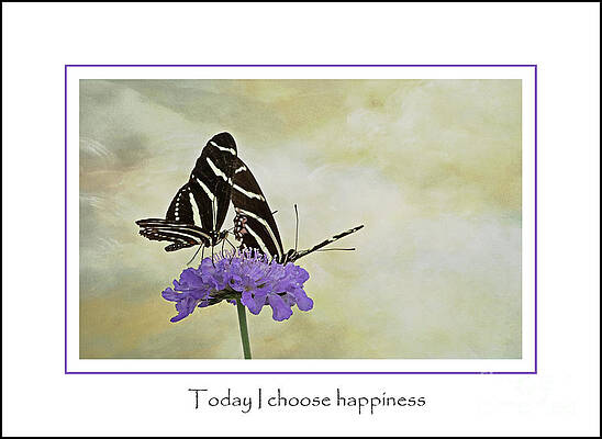 Happy Butterflies 2 Print