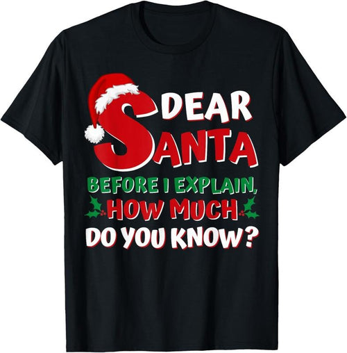 100% Cotton 2024 Funny Christmas Shirts Adults Santa I Can Explain T-Shirt Hoodie, Sweatshirt | DripVista.com