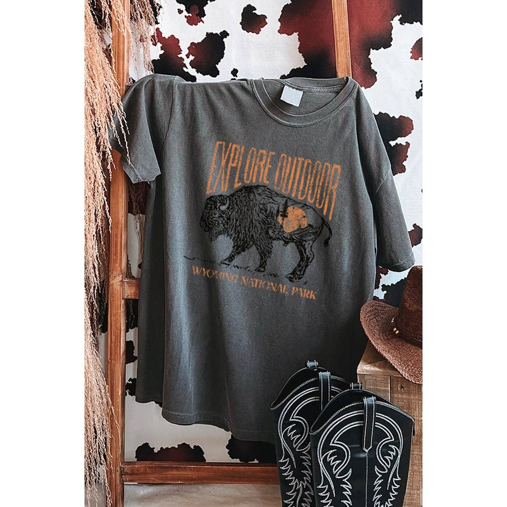 Explore Outdoor  Buffalo Graphic Oversized Tee