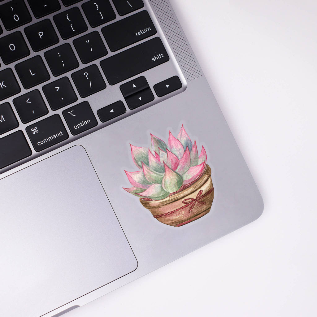 Potted Succulent Sticker