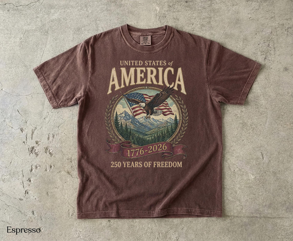 America 250th Anniversary 90s Comfort Colors Y2k Oversized Patriotic Usa Streetwear (4)