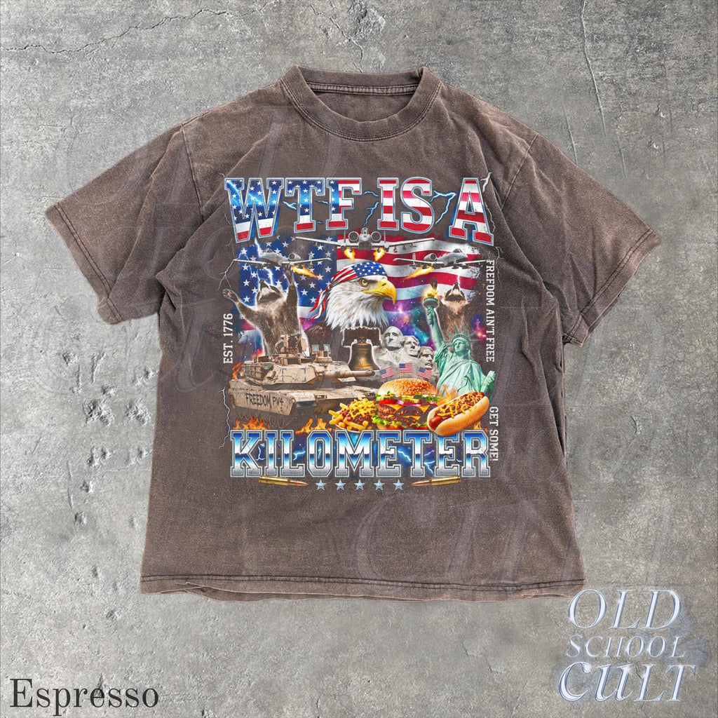 Wtf Kilometer Usa Patriotic Vintage American Eagle Meme 4th July Retro Freedom (4)