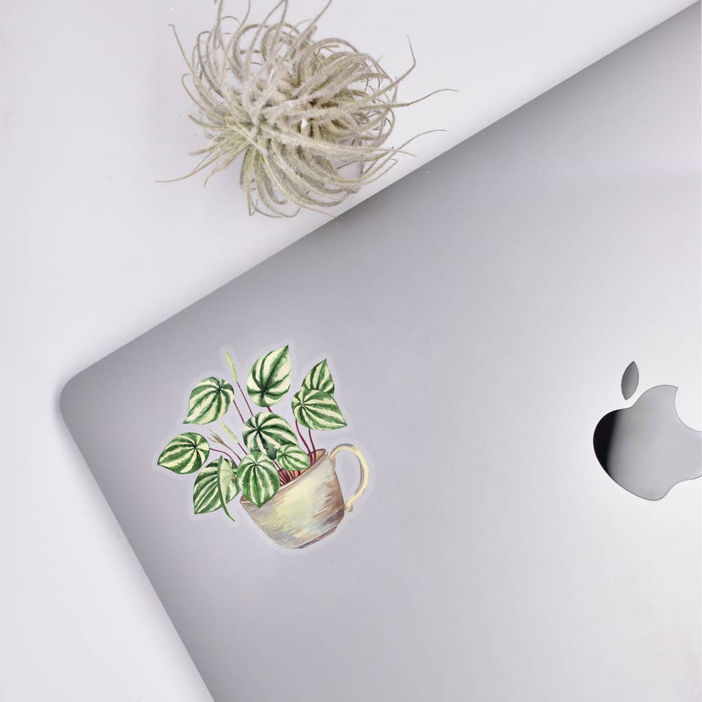 Watermelon Peperomia Sticker - House Plant Stickers