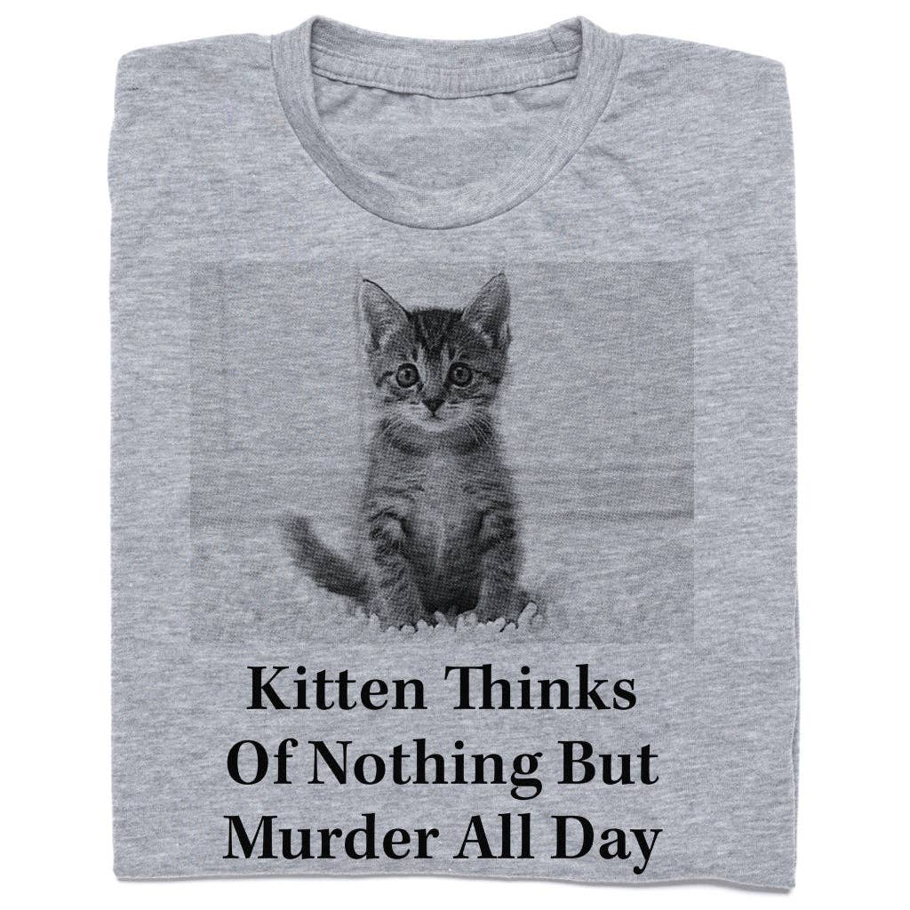 The Onion: Kitten Thinks of Murder
