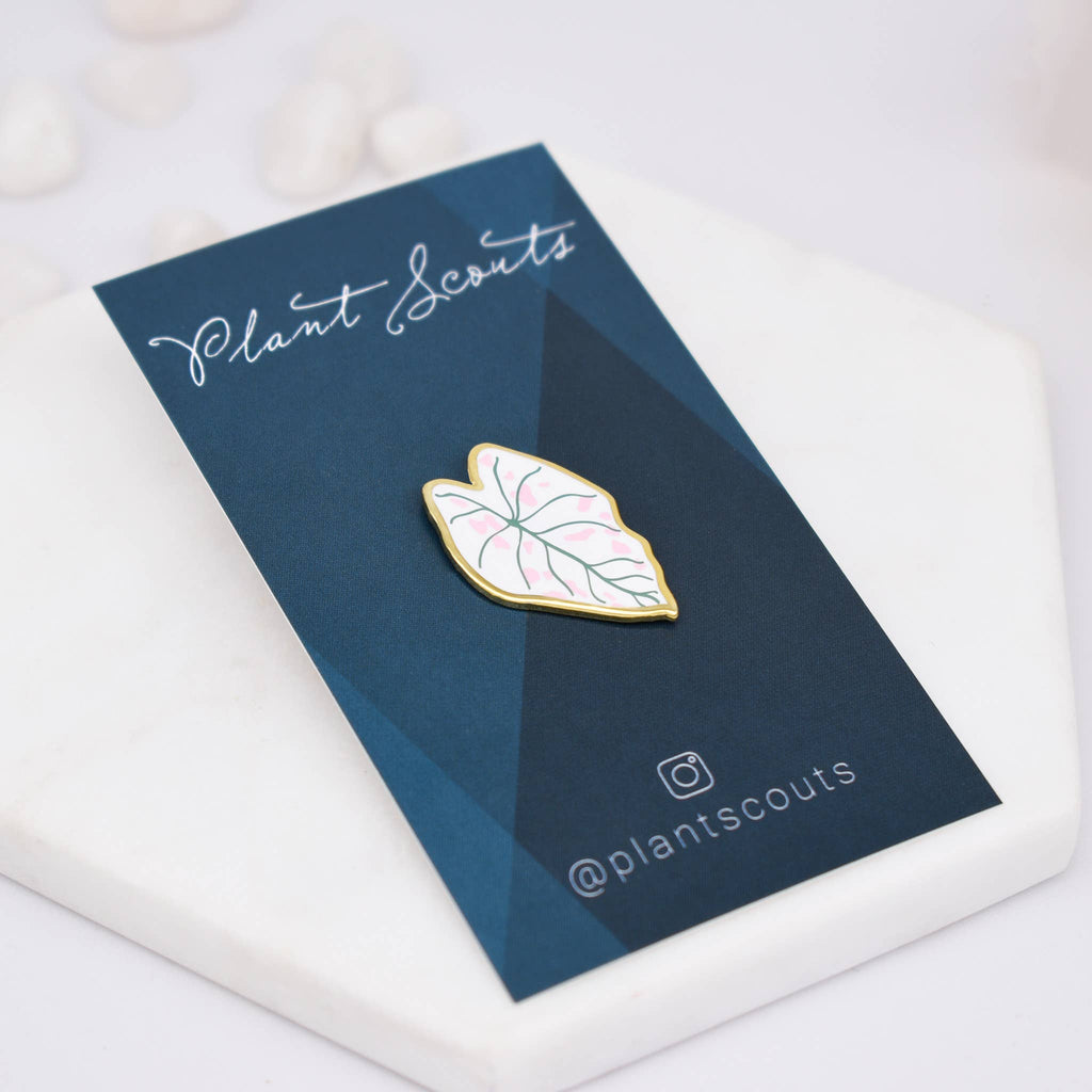 Caladium Plant Enamel Pin