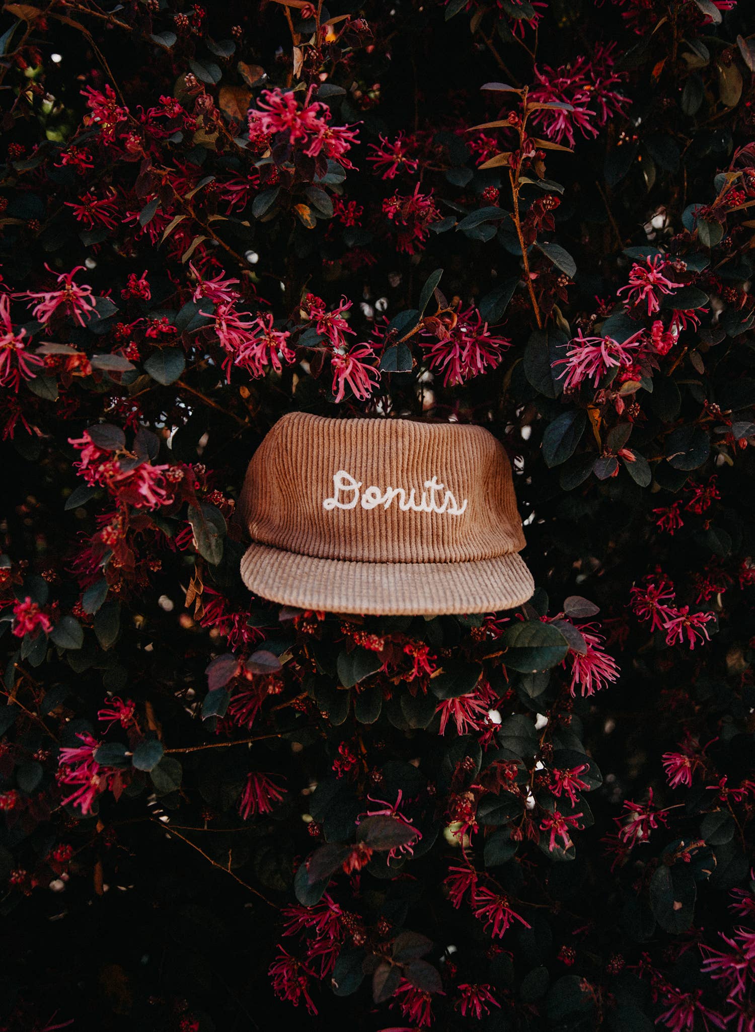 Donuts Chainstitch Hat