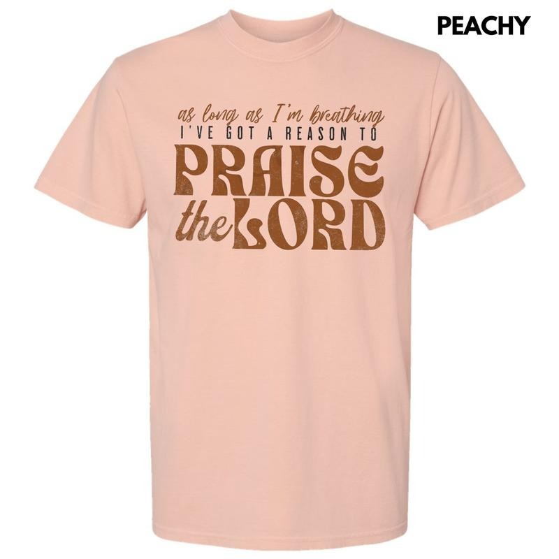 A Reason To Praise Comfort Colors T-Shirt Hoodie, Sweatshirt | DripVista.com