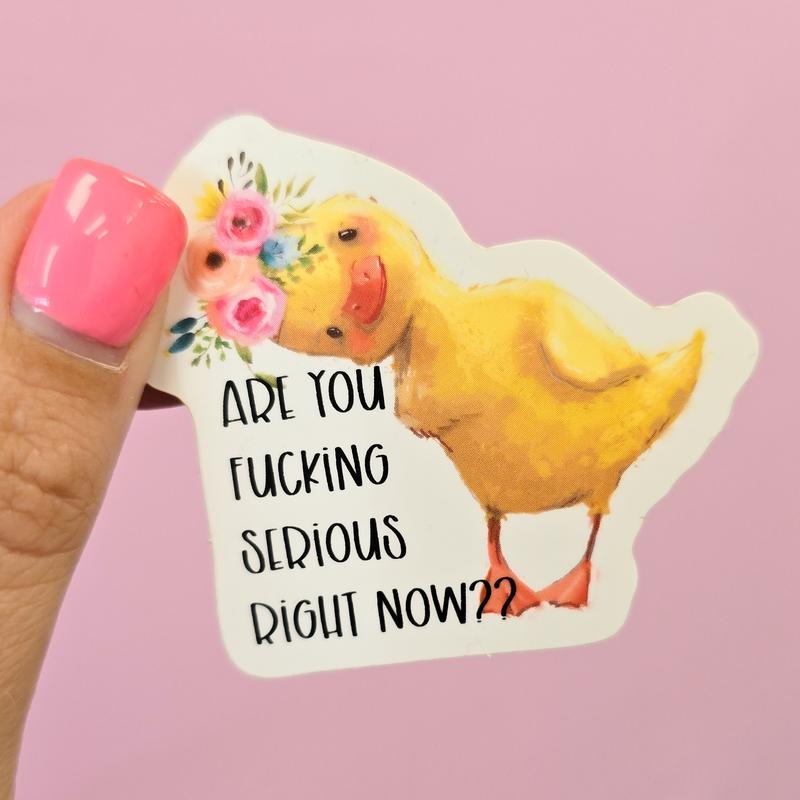 Are You Serious Right Now? Cute Duck Sticker T-Shirts, Hoodie, Sweatshirt | DripVista.com