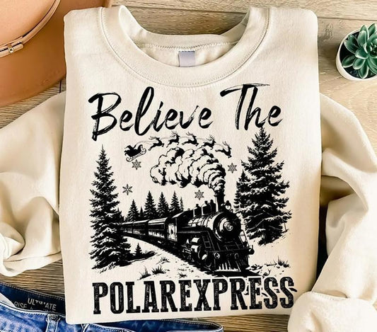 Believe The Polar Express Sweater, North Pole Christmas Tee Shirt, Polar Express Christmas Sweatshirt, Vintage Christmas Movies Shirt, Gift For Holiday