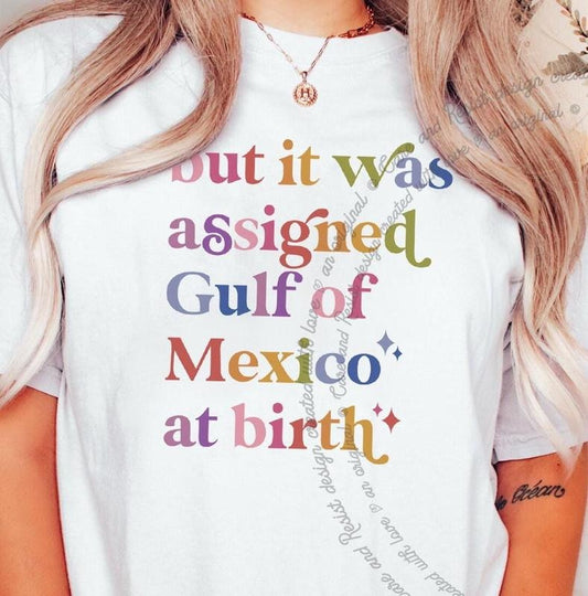 But It Was Assigned Gulf of Mexico at Birth T-shirt, Gulf of Mexico Shirt, Anti Gulf of America Shirt, Gulf of Mexico T-shirt Protest