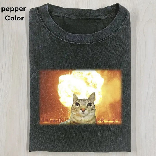 CALM AND COLLECTED CAT Baby Tee, Cat Meme Crop Top, Funny Crop Top, Unisex Meme Cringe Funny Dumb Shirt, Menswear Womenswear Streetwear