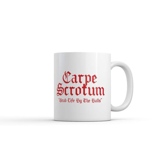 Carpe Scrotum Grab Life By The Balls Mug Funny Sarcastic Graphic Novelty Coffee Cup-11oz Funny Coffee Mugs Ceramic Printed Drinkware Cup