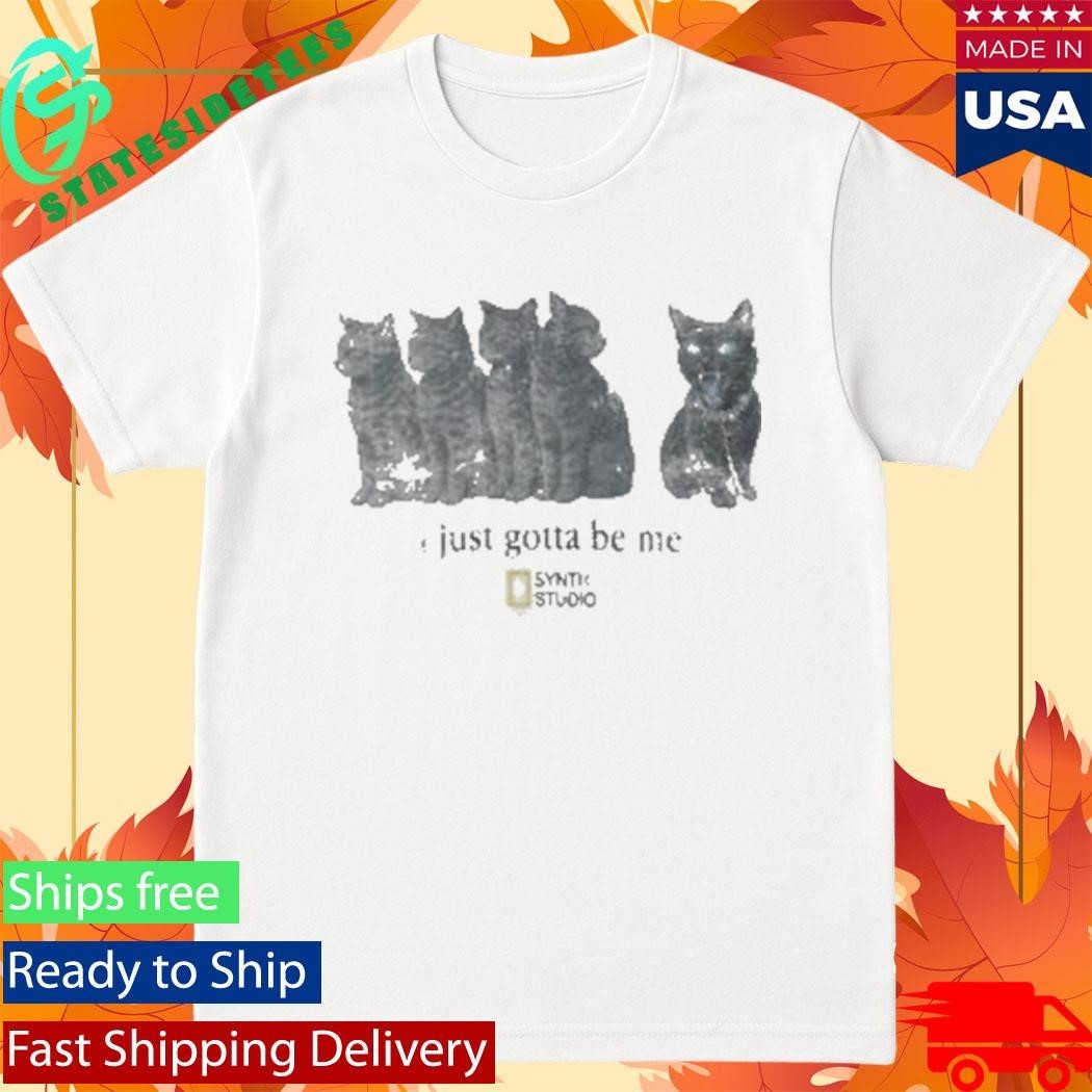 Cats I Just Gotta Be ME Synth Studio Shirt