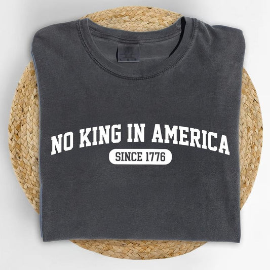 ChicCotton No Kings In America Comfort Colors Shirt, Human Rights T-shirt, Activist Unisex Graphic Tee, Protect Democracy Tee, Liberal Democrat Shirt