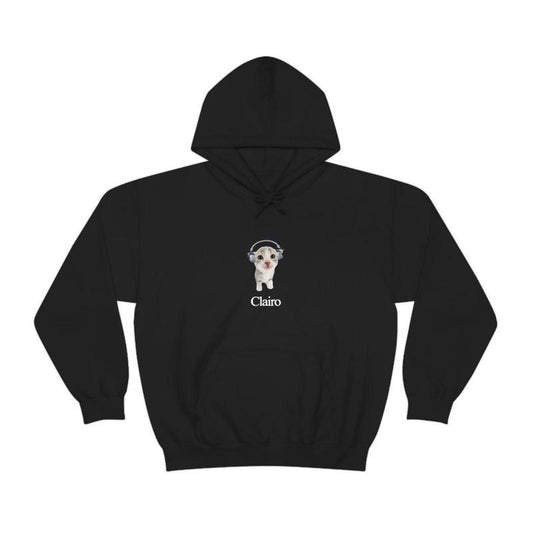 Clairo Cat Hoodie Fan Merch Cute Cat Listening to Music Funny Hoodie, No-Fade Colors, Wash After Wash, Must-Have Basic, Always
