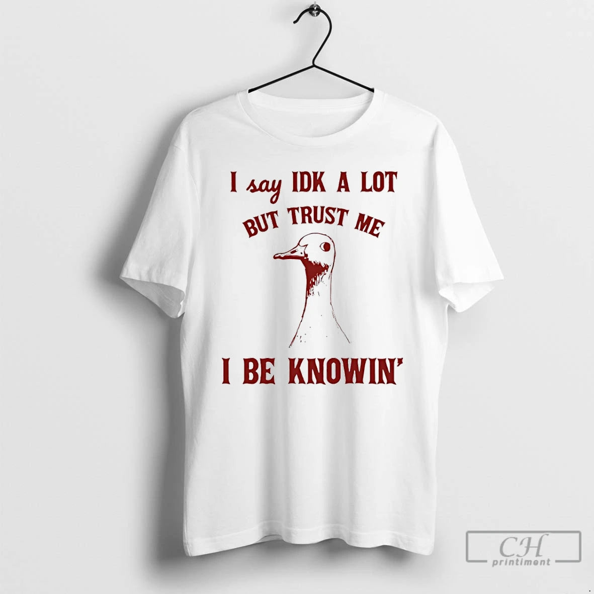 Classic Duck I Say Idk A Lot But Trust Me I Be Knowin Art T-Shirts, Hoodie, Sweatshirt | DripVista.com