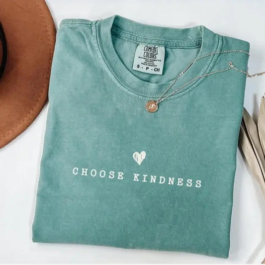 Comfort Colors Choose Kindness Kind Teacher Shirt For Work, Teacher Appreciation Gift Kindness Oversized Tee, Cute Teacher Shirt