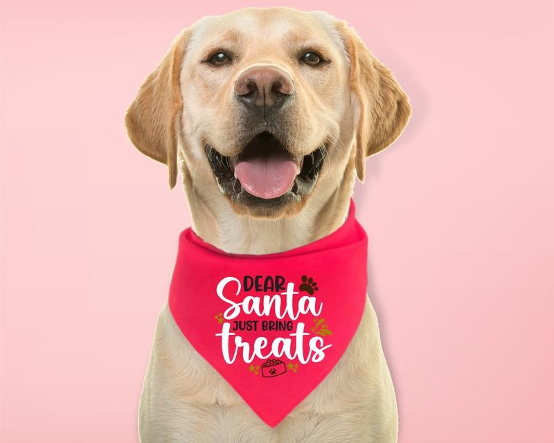 Dear Santa Just Bring Treats Dog Bandana, Christmas Puppy Handkerchief, Holiday Dog Gift Neck Scarf, Pets Owner Christmas Gift Neck Accessories.