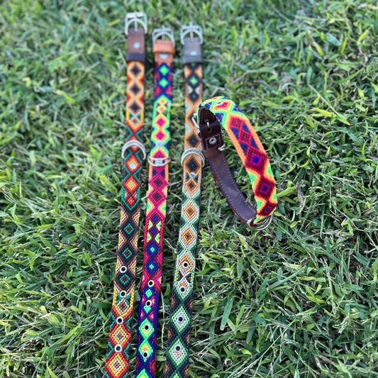 Dog collar artesanos