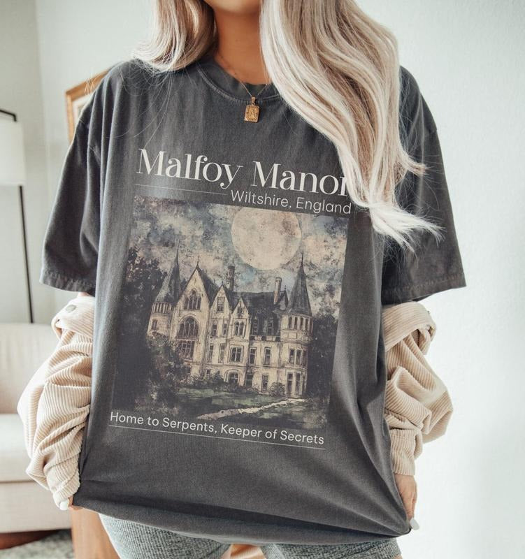 Dramione era Manacled merch Fanfiction Comfort Colors shirt Booktok Bookish merch, Wizard world tee, Dark Academia clothing gift for Readers
