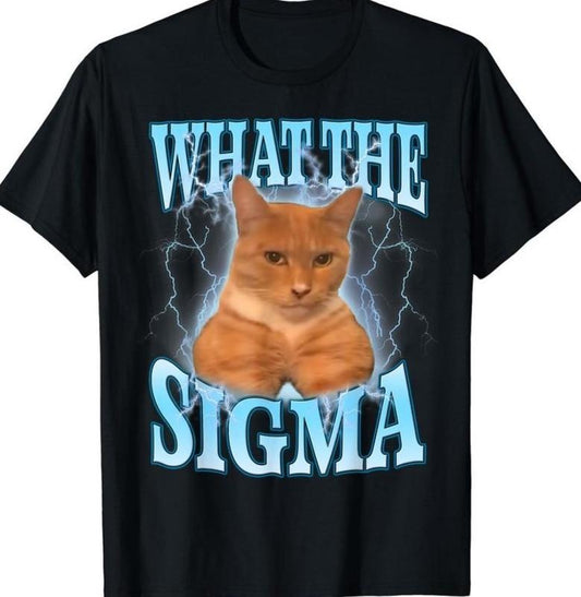 ERM, What The Sigma Meme Cat Ironic Brainrot Y2K T-Shirt
