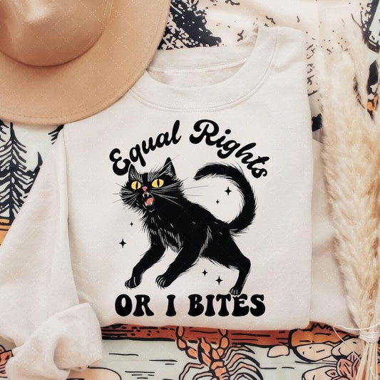 Equal Rights Or I Bites Shirt, Feminist Cat Sweatshirt, Equality T-shirt, Feminist Gift, Human Rights Tee, Funny Cat Lady Tee, Gift For Her