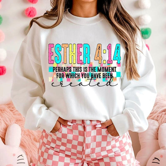 Esther 4:14 DTF Transfers - THIS IS NOT A SHIRT