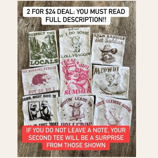 FUNNY SHIRTS VERSION 2 - 2 for 24 - Graphic Tee Bundle - Choose Your Designs- LEAVE DESIGN  CHOICE AT CHECKOUT - SET B