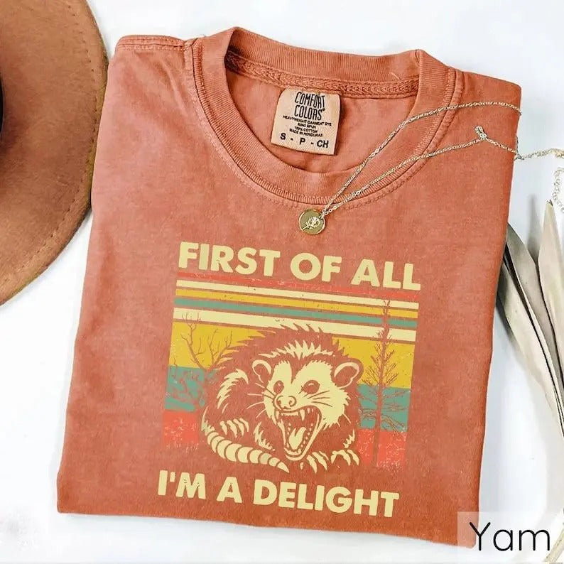 First Of All I'm A Delight T-shirts, Comfort Colors, Funny Opossum Shirt, Possum Lover Gift, Angry Possum Shirt Man