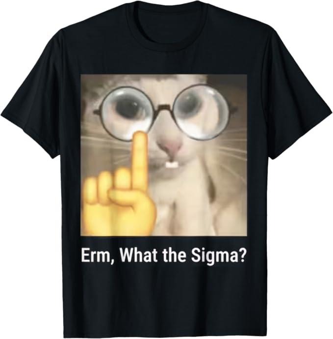 Funny Cat Shirts, Erm, What the Sigma Cat Meme Funny T-Shirt - Menswear Top Hoodie, Sweatshirt | DripVista.com
