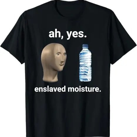 Funny Meme Shirt, Ah Yes Enslaved Moisture Tee, Gift Unisex T-Shirt Hoodie, Sweatshirt | DripVista.com