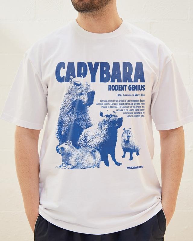 Funny Meme Shirt, CAPYBARA RODENT Tee, Gift Unisex T-Shirt Hoodie, Sweatshirt | DripVista.com