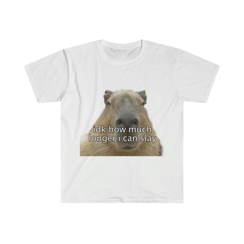 Funny Meme Shirt, Capybara "idk how much longer i can slay" Tee, Gift Unisex T-Shirt Hoodie, Sweatshirt | DripVista.com