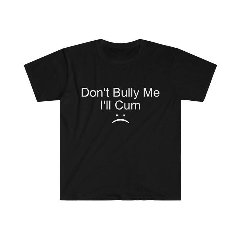 Funny Meme Shirt, Don't Bully Me Tee, Gift Unisex T-Shirt Hoodie, Sweatshirt | DripVista.com