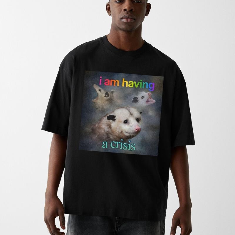 Funny Meme Shirt, I Am Having A Crisis Shirt, Dank Quote Shirt, Out Of Pocket Humor Possum Tee, Saying Edgy Joke Trendy...