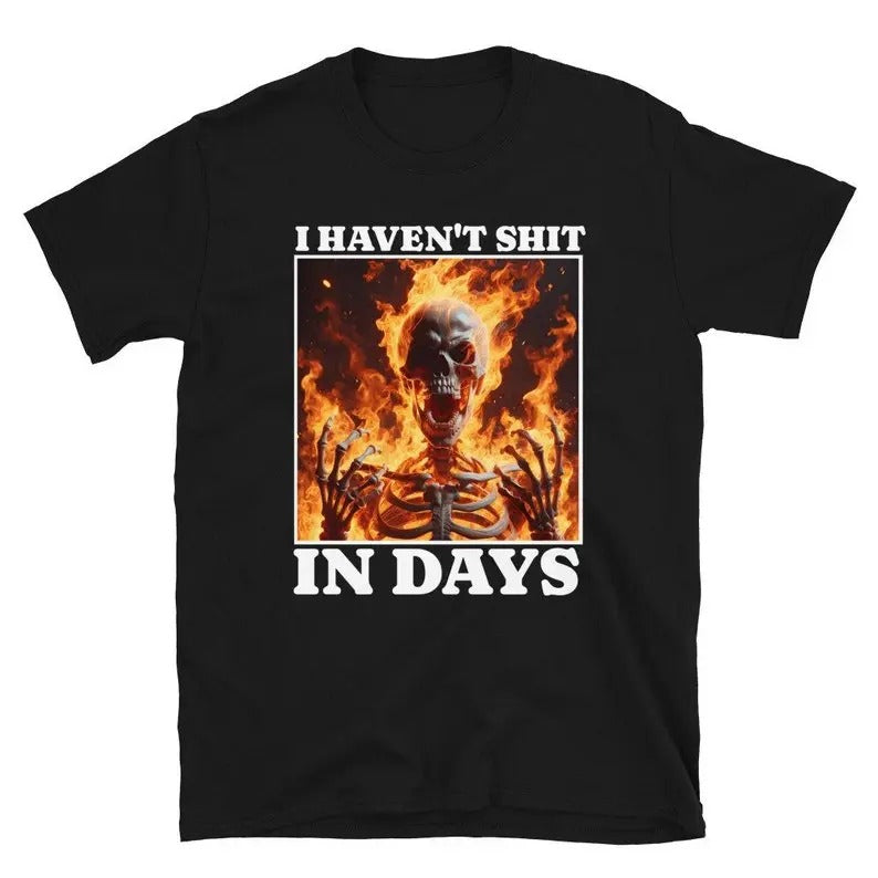 Funny Meme Shirt, I Haven't Shit in Days Tee, Gift Unisex T-Shirt Hoodie, Sweatshirt | DripVista.com