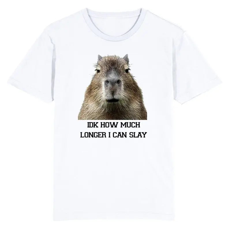 Funny Meme Shirt, IDK How Much Longer I Can Slay Capybara Tee, Gift Unisex T-Shirt Hoodie, Sweatshirt | DripVista.com