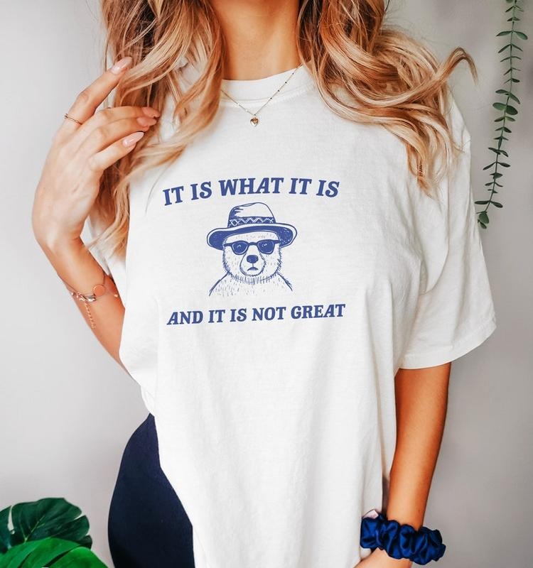 Funny Meme Shirt, It Is What It Is And It Is Not Great Tee, Raccoon Gift Unisex T-Shirt Hoodie, Sweatshirt | DripVista.com