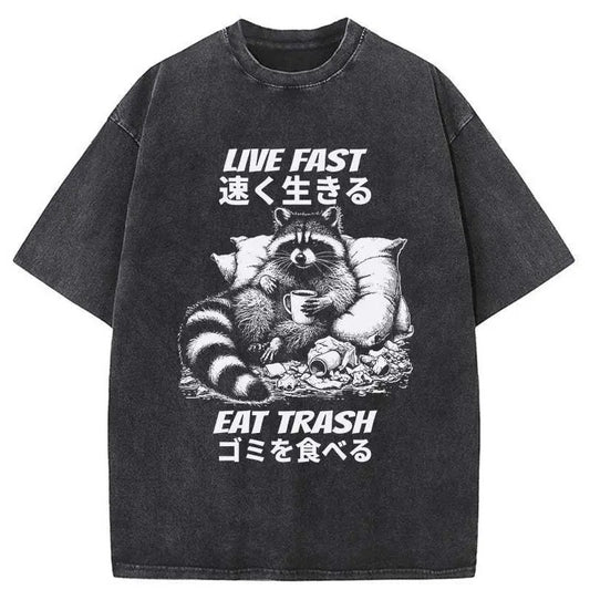 Funny Meme Shirt, Live Fast Eat Trash Raccoon Shirt, Meme Raccoon Japanese Merch, Vintage 90s Unisex Colors Outfit, Gift For Animal Lovers