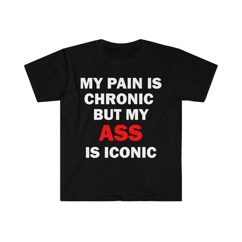 Funny Meme Shirt, My Pain Is Chronic But My As* Is Iconic Tee, Gift Unisex T-Shirt Hoodie, Sweatshirt | DripVista.com