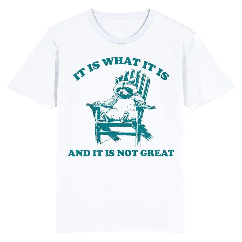Funny Meme Shirt, Raccoon Is What It Is And It Is Not Great  Tee, Gift Unisex T-Shirt Hoodie, Sweatshirt | DripVista.com