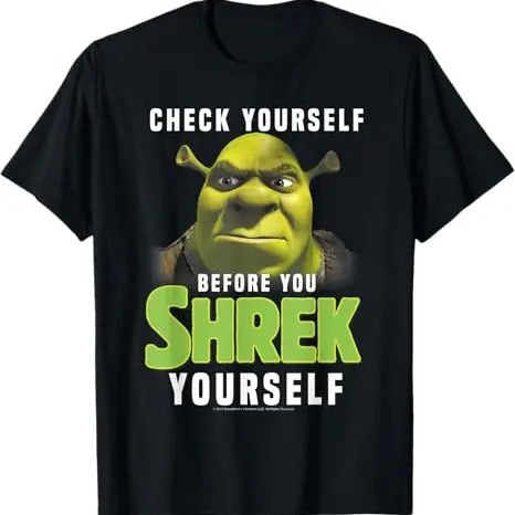 Funny Meme Shirt, Shrek Check Yourself Before You Shrek Yourself Tee, Gift Unisex T-Shirt Hoodie, Sweatshirt | DripVista.com