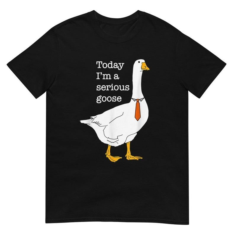 Funny Meme Shirt, Today I'm A Serious Goose Tee, Gift Unisex T-Shirt Hoodie, Sweatshirt | DripVista.com