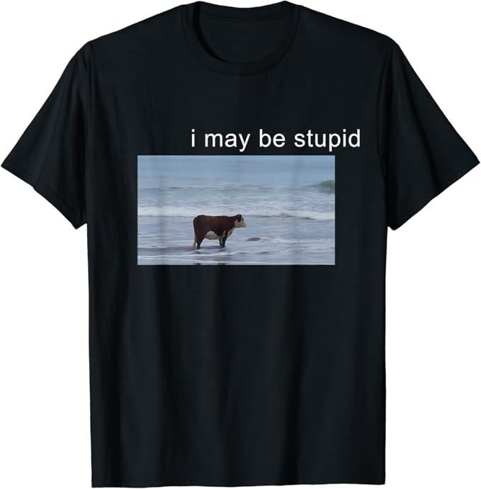 Funny Meme Shirts For Men, I May Be Stupid Funny T-Shirt Menswear Top Hoodie, Sweatshirt | DripVista.com